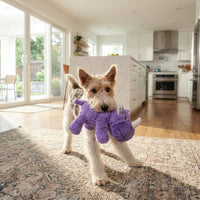 Kong Cozie Rosie Rhino Dog Toy - S