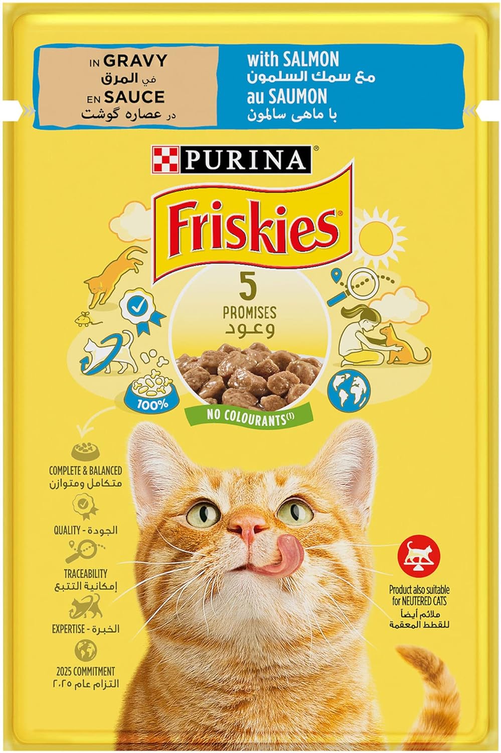 Purina Friskies Pouch With Salmon 85g