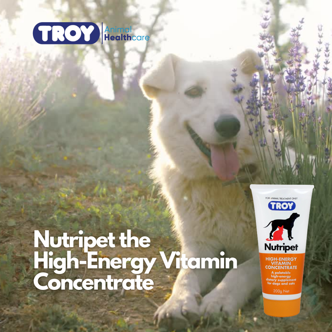 Troy Nutripet 200g