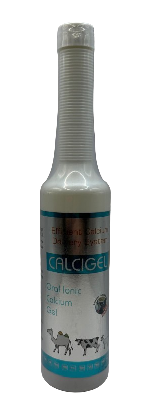 CALCIGEL