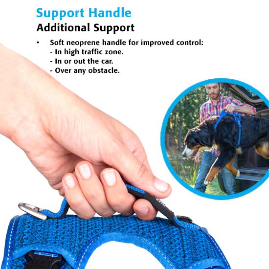 Rogz Explore Dog Harness - BLUE Small