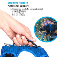 Thumbnail for Rogz Explore Dog Harness - BLUE Small