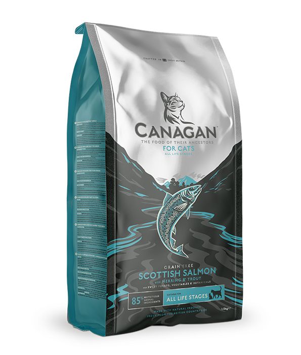 Canagan Scottish Salmon Dry Cat Food - 4KG