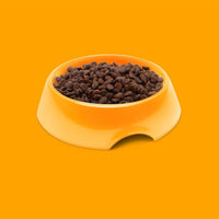 Symply Fresh Chicken All Lifestages Dry Cat Food -