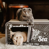 Thumbnail for District 70 Sardine 2-in-1 Cardboard Cat Scratcher & Cave - WHITE