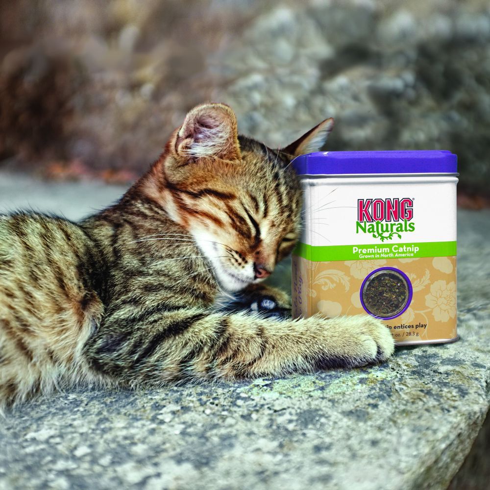 Kong Naturals Cat Premium Catnip - 2OZ