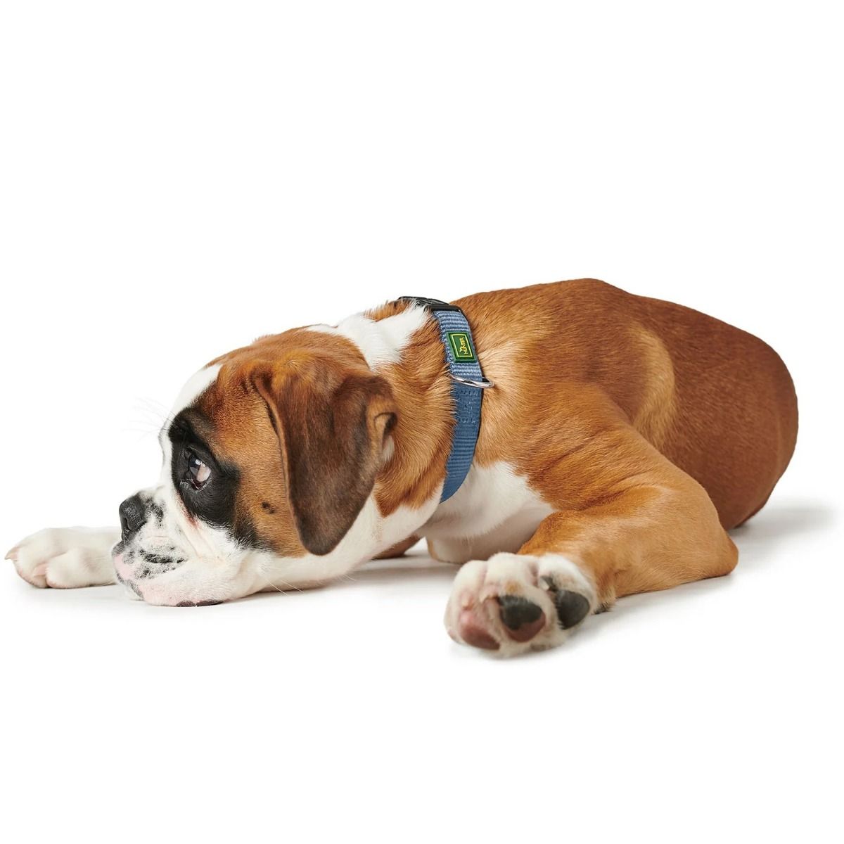Hunter Vario Basic Nylon Dog Collar - Smoky Blue M-L