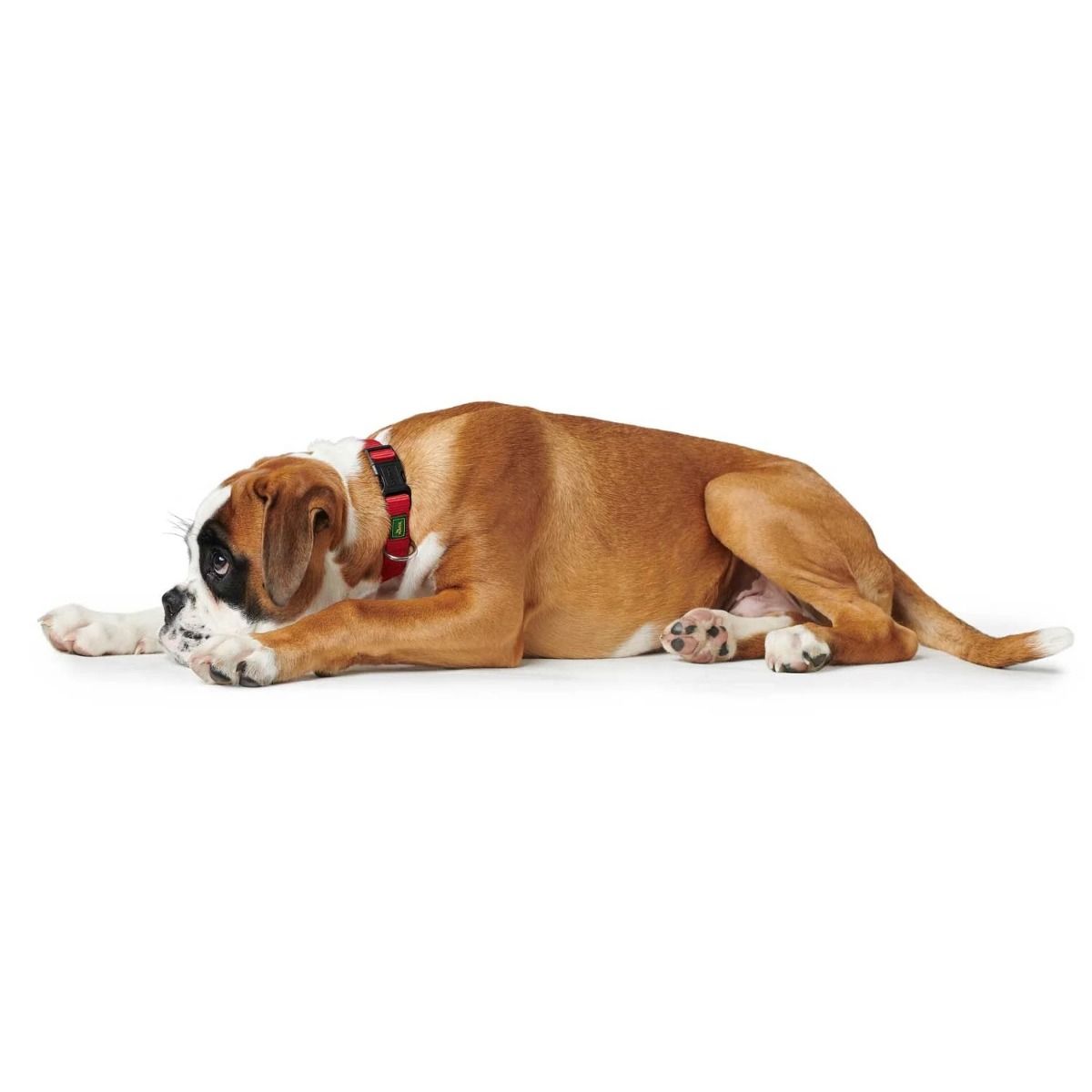 Hunter Vario Basic Nylon Dog Collar - Red Small