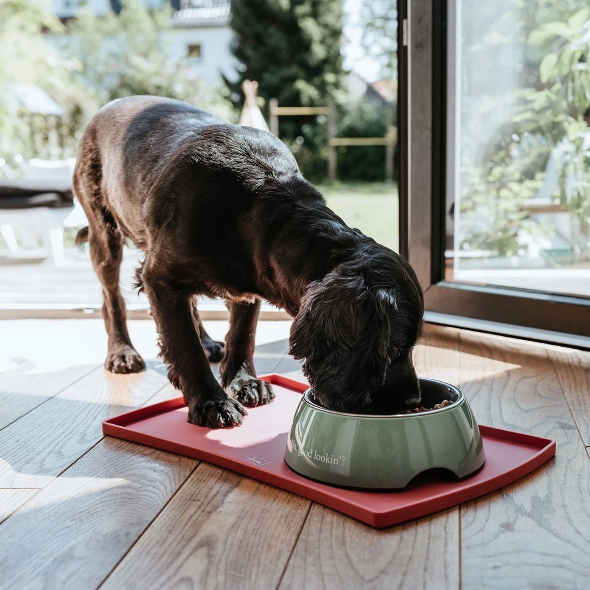 Hunter Food Bowl Base 48x30cm - Pink