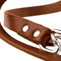 Hunter Cow Leather Training Dog Leash - Cognac 16/100
