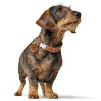 Hunter Aalborg Alu-Strong Dog Collar - Cognac Medium