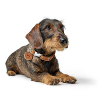 Hunter Aalborg Alu-Strong Dog Collar - Cognac Medium