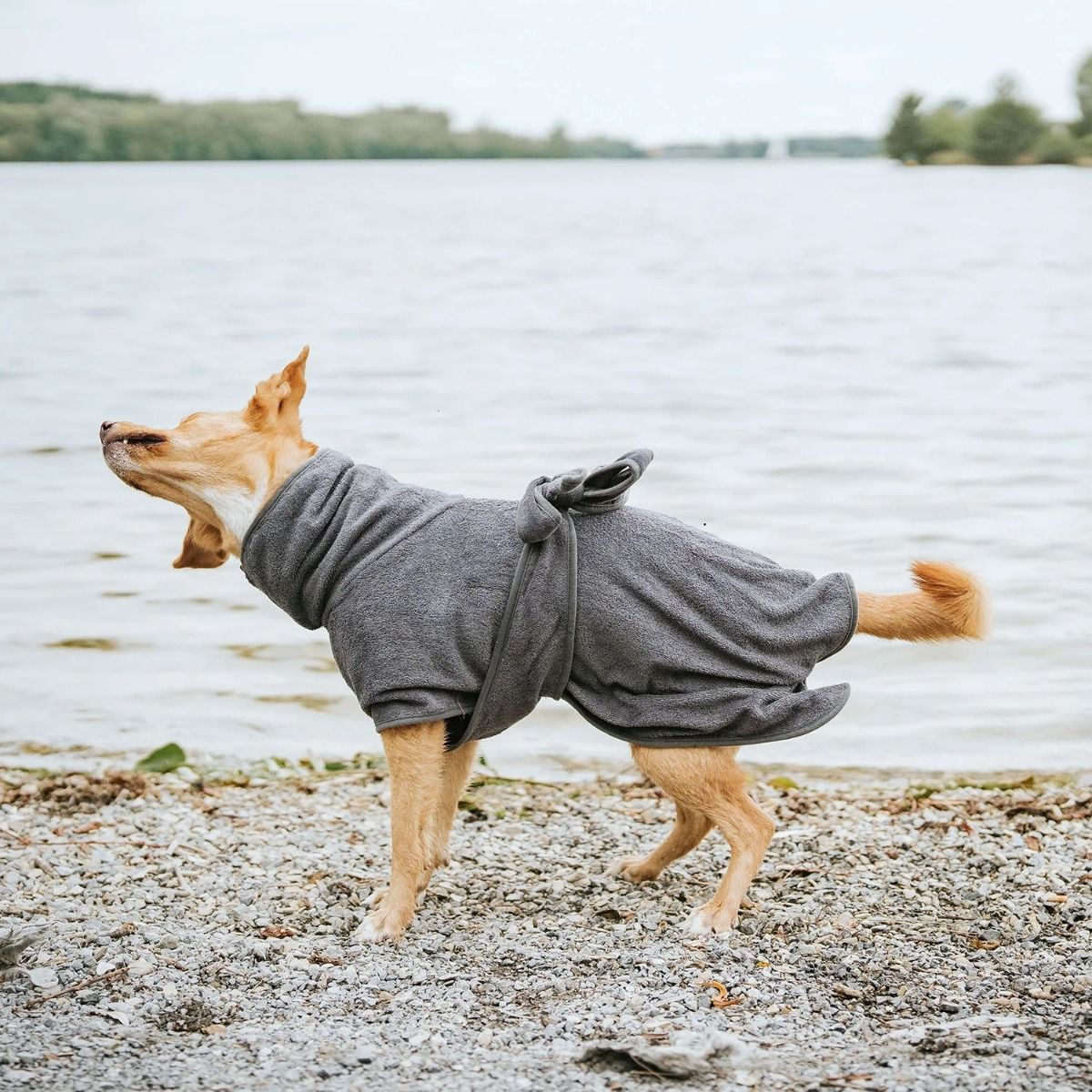 Hunter Riga Dog Bathrobe - Grey 40