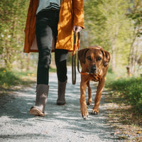 Hunter Wolmar BioThane x Leather Training Dog Leash - Khaki-Orange 16/200