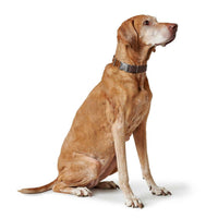 Hunter Wolmar Alu-Strong BioThane x Leather Dog Collar - Chocolate-Cognac Medium
