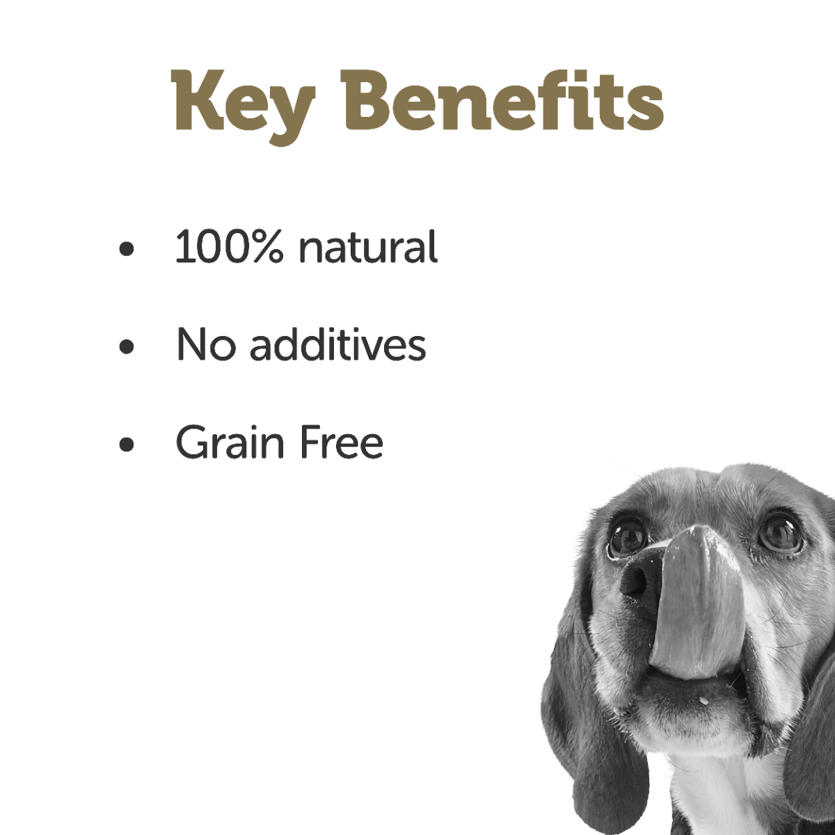 Applaws Taste Toppers Chicken Bone Broth with Turmeric & Parsley Wet Dog Food Pouch 200g - 200ml