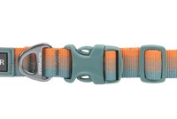 Thumbnail for Ruffwear Front Range Dog Collar - Spring Fade 14
