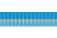 Thumbnail for Ruffwear Crag Reflective Dog Collar - BLUE Medium