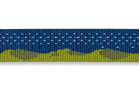 Thumbnail for Ruffwear Crag Reflective Dog Collar - GREEN Small