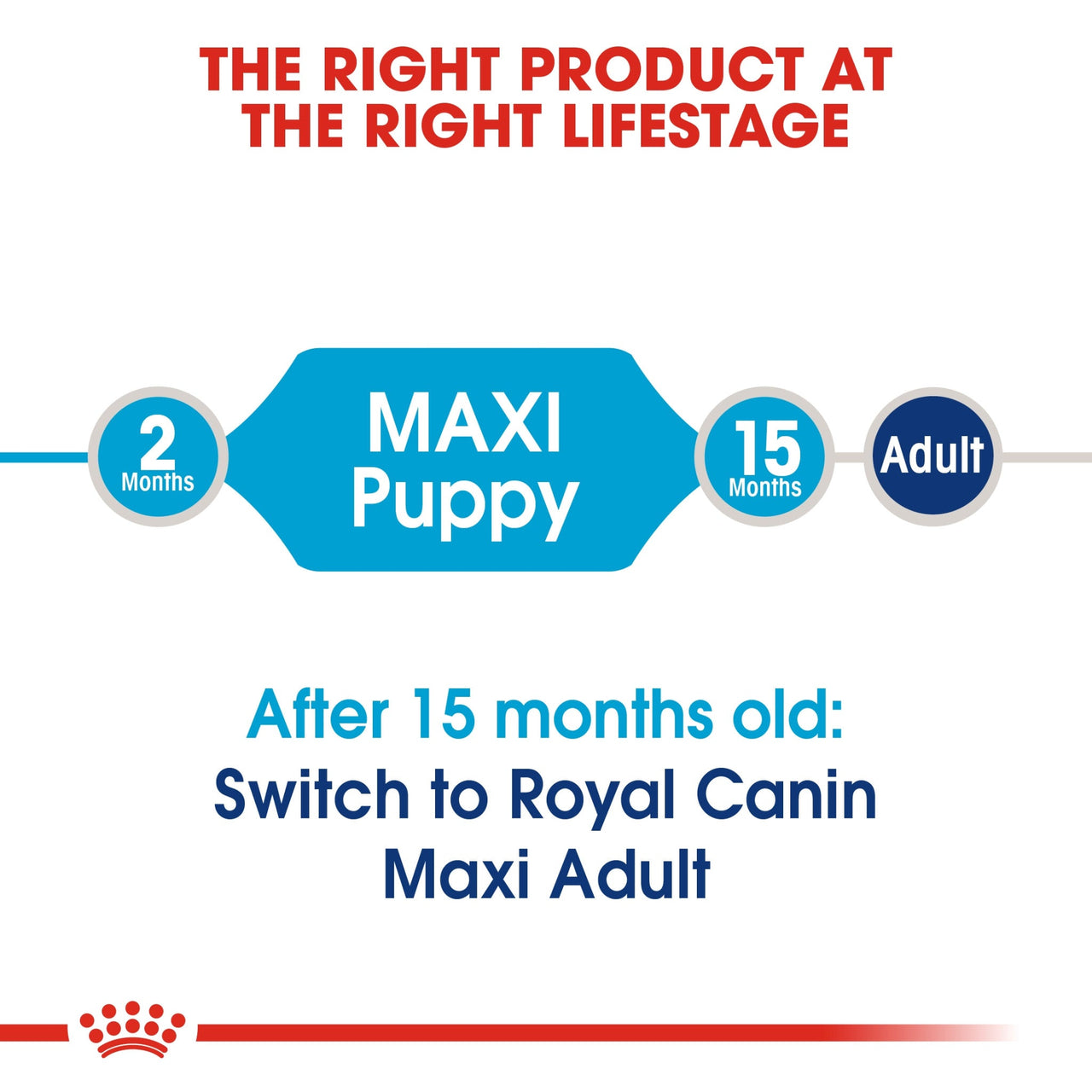 Size Health Nutrition Maxi Puppy 15 kg