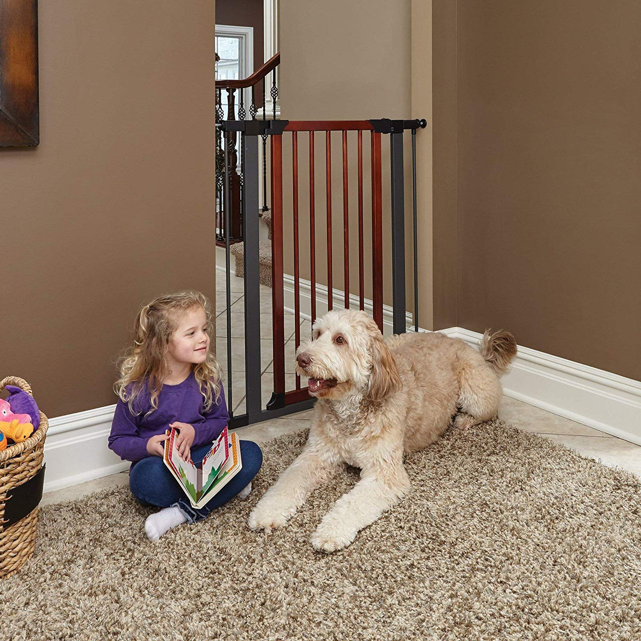 Steel Pet Gate with Decorative Wood Door - 29"