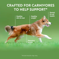 Thumbnail for ZIWI Peak Air-Dried Chicken Recipe Dry Dog Food - 1kg