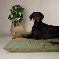 Scruffs Expedition Memory Pillow Dog Bed - Khaki Green Large