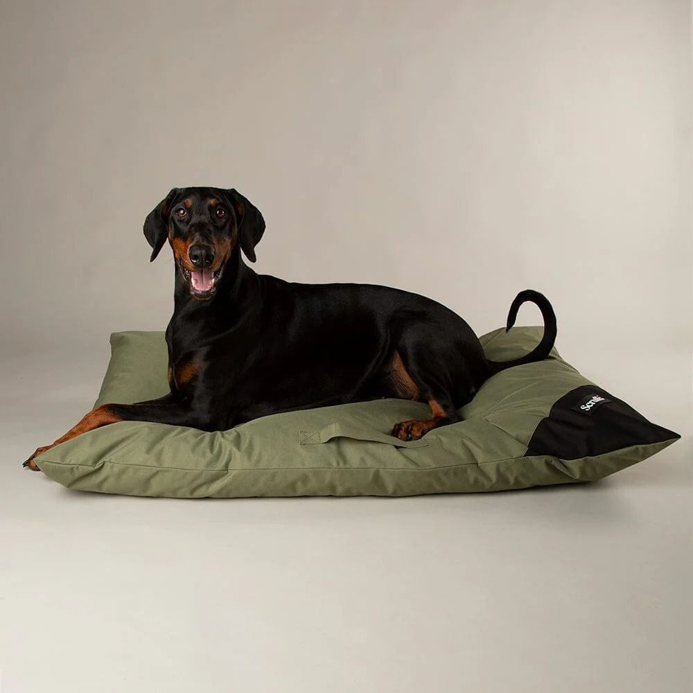 Scruffs Expedition Memory Pillow Dog Bed - Khaki Green X-Large