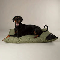 Scruffs Expedition Memory Pillow Dog Bed - Khaki Green X-Large