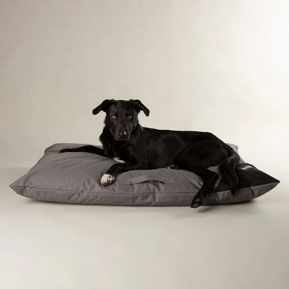 Scruffs Expedition Memory Pillow Dog Bed - Storm Grey X-Large
