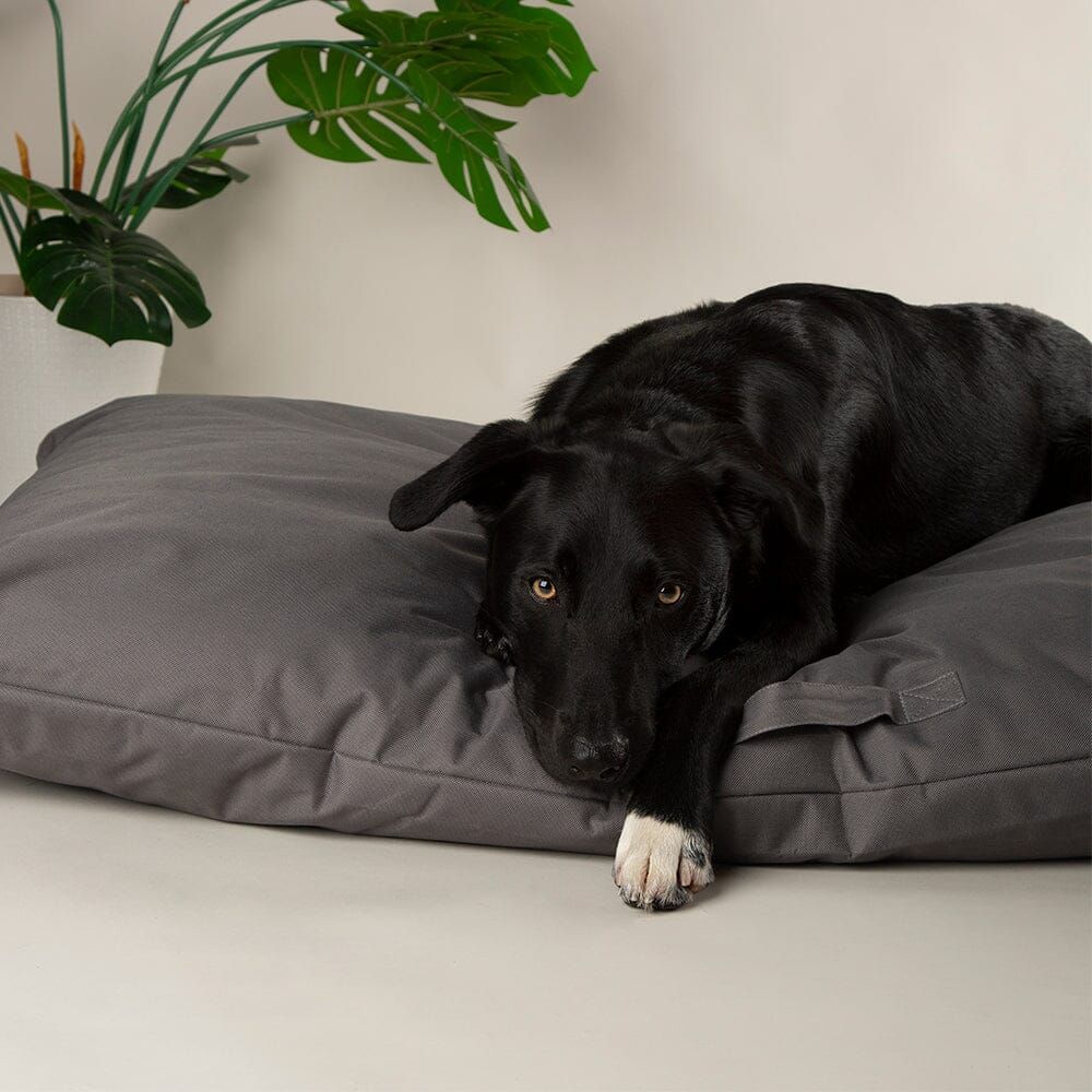 Scruffs Expedition Memory Pillow Dog Bed - Storm Grey Large
