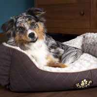 Thumbnail for Scruffs Wilton Box Dog Bed - Grey Medium