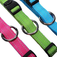 Thumbnail for Rogz Utility Reflective Stitching Dog Collar - BLUE Medium