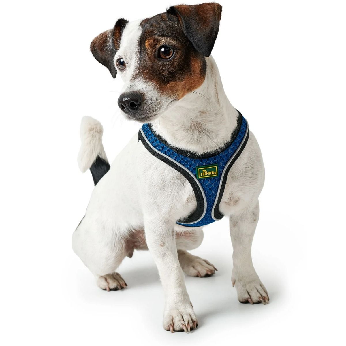 Hunter Hilo Comfort Dog Harness - Blue S-M