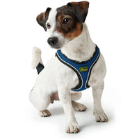 Hunter Hilo Comfort Dog Harness - Blue M-L