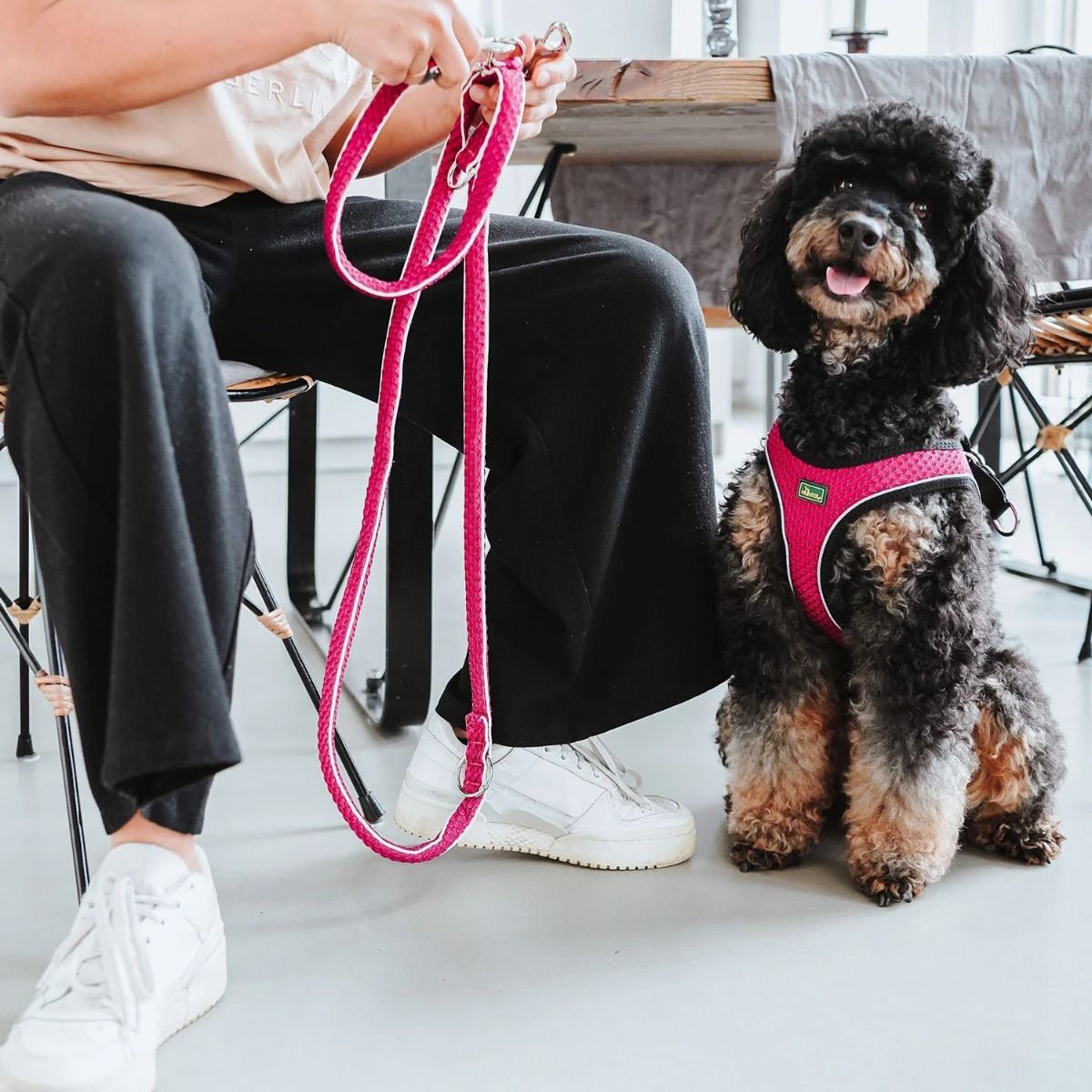 Hunter Hilo Comfort Dog Harness - Old Pink S-M
