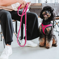 Hunter Hilo Comfort Dog Harness - Old Pink M-L