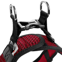 Hunter Hilo Comfort Dog Harness - RED Small