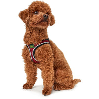 Hunter Hilo Comfort Dog Harness - RED X-Large