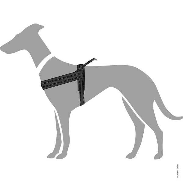 Hunter Meldal Dog Harness - BLACK M/L