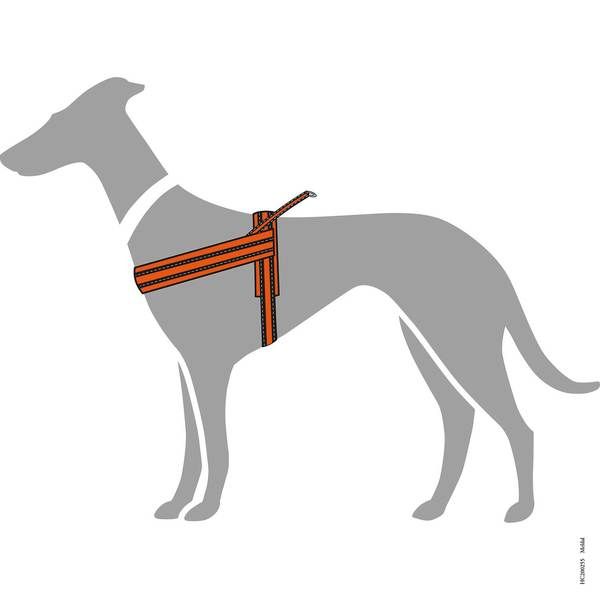 Hunter Meldal Dog Harness - ORANGE MEDIUM