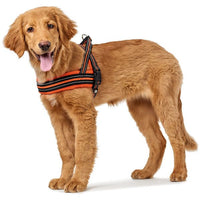 Hunter Meldal Dog Harness - ORANGE XXLARGE