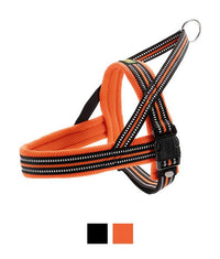 Hunter Meldal Dog Harness - ORANGE