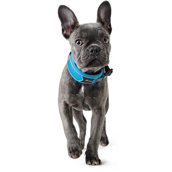 Hunter Divo Dog Collar  - Grey Medium