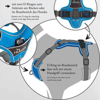 Thumbnail for Hunter Divo Dog Harness  - DARK BLUE L/XL