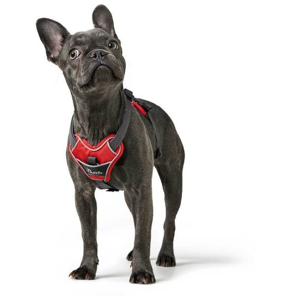 Hunter Divo Dog Harness  - RED L/XL