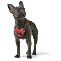 Thumbnail for Hunter Divo Dog Harness  - RED LARGE