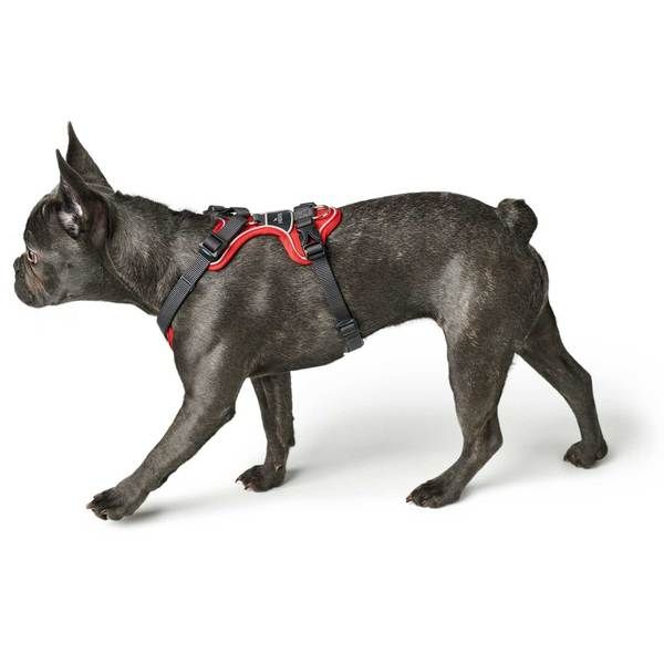 Hunter Divo Dog Harness  - RED L/XL