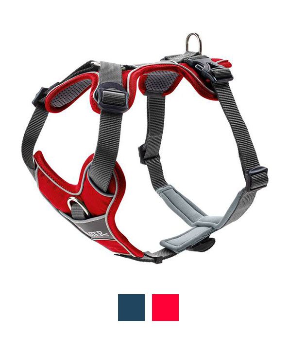 Hunter Divo Dog Harness  - RED L/XL