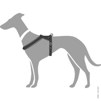 Thumbnail for Hunter London Dog Harness  - BLACK S-M 48